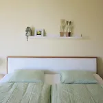 La Palma By Fewotessin Apartment Brissago TI