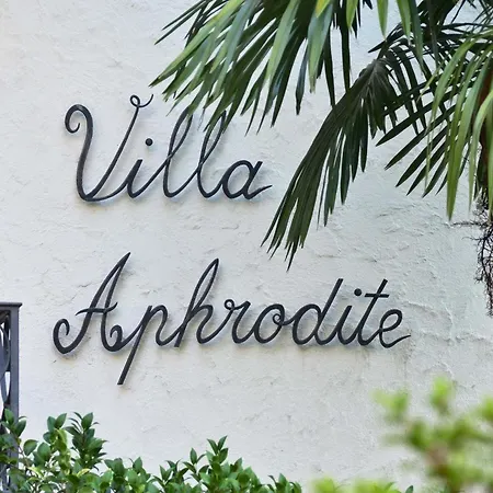 La Palma By Fewotessin Brissago