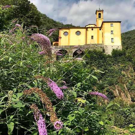 La Palma By Fewotessin Appartement Brissago